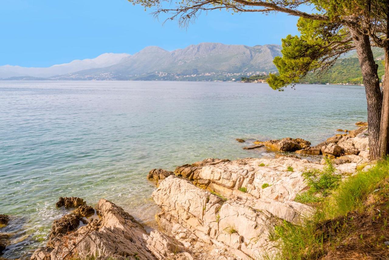 شقة Cavtat - Panoramic Sea View المظهر الخارجي الصورة