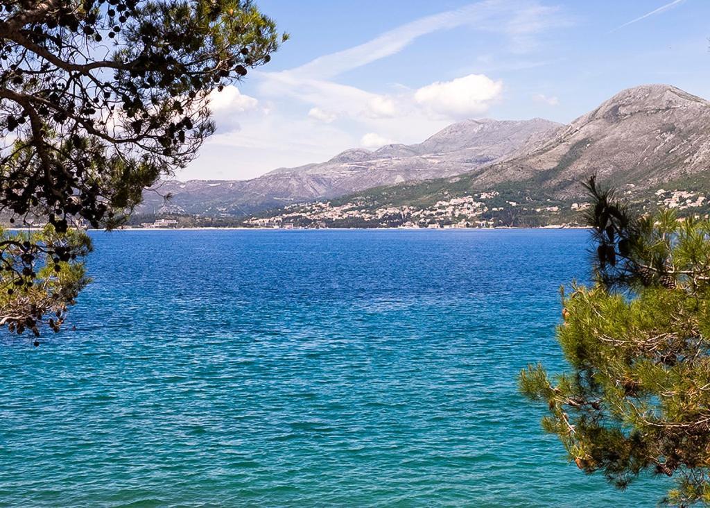 شقة Cavtat - Panoramic Sea View المظهر الخارجي الصورة