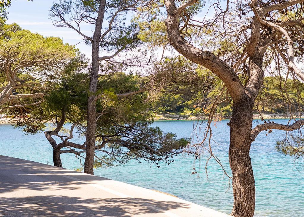 شقة Cavtat - Panoramic Sea View المظهر الخارجي الصورة